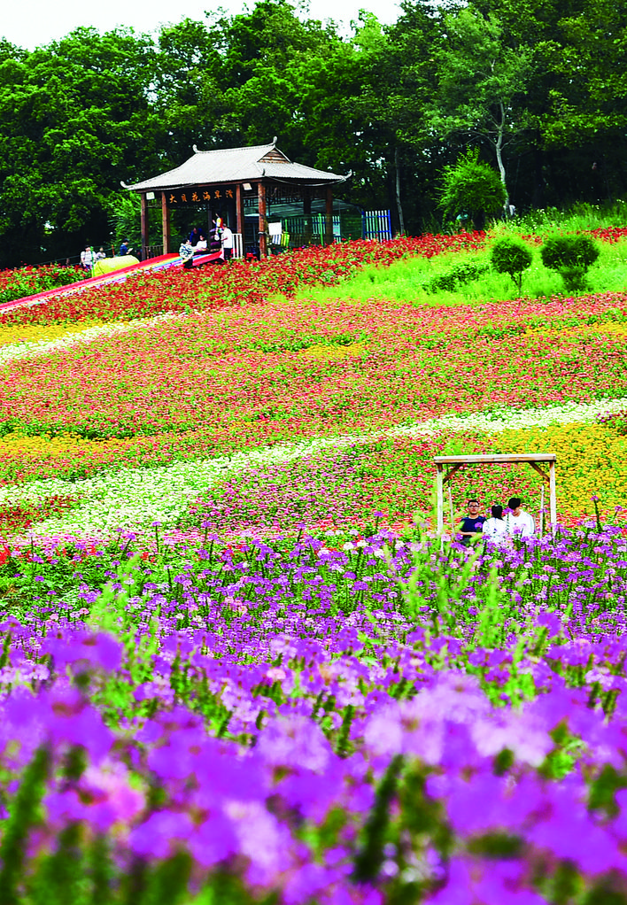 长春市九台区:绚烂花海绽放致富笑脸