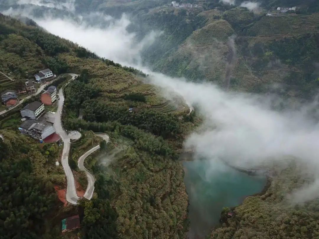 平阳县传媒中心:棋盘山下戈场村"茶旅融合"迈小康!