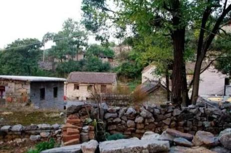 看完,你就知道河南人有多懂爱情(最新发布)