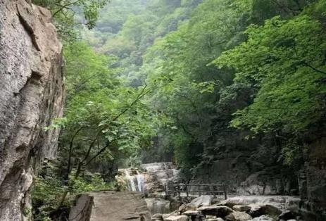 看完,你就知道河南人有多懂爱情(最新发布)