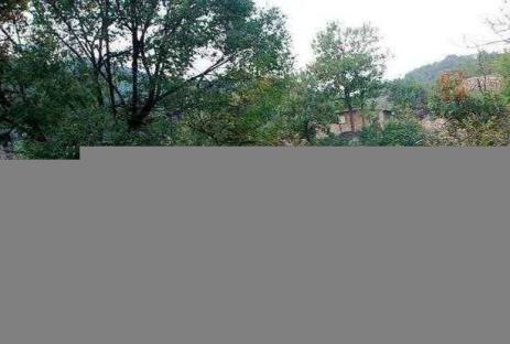 看完,你就知道河南人有多懂爱情(最新发布)