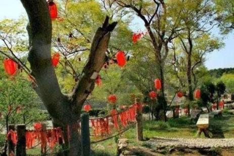 看完,你就知道河南人有多懂爱情(最新发布)