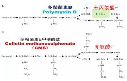 多粘菌素的前世今生