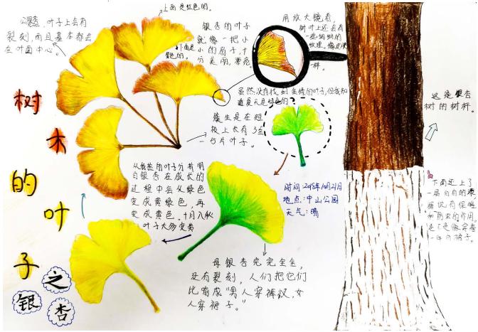 美丽中国我是行动者2019年全国青少年自然笔记大赛优秀作品集(3)