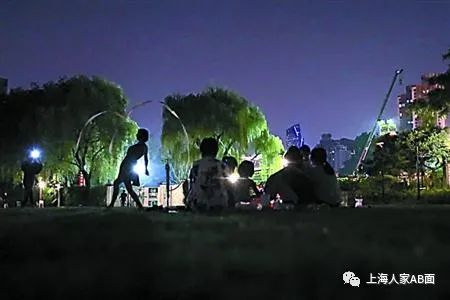 上海夏天乐趣之九:夜公园(最新发布)