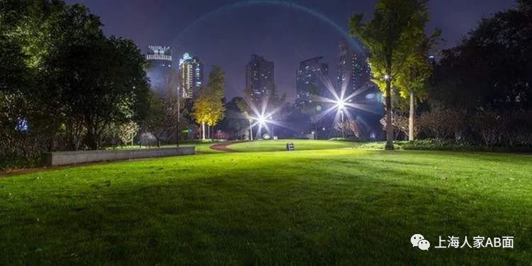 上海夏天乐趣之九:夜公园(最新发布)