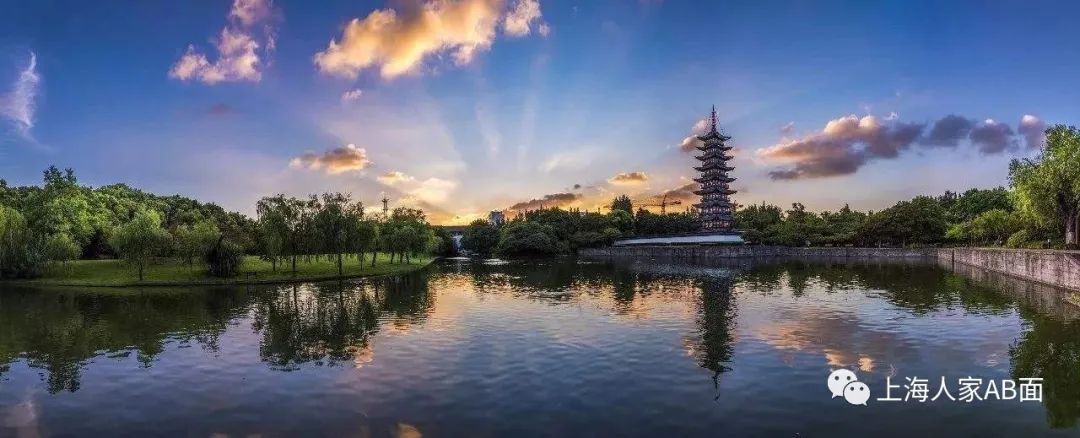 上海夏天乐趣之九:夜公园(最新发布)