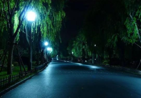 上海夏天乐趣之九:夜公园(最新发布)