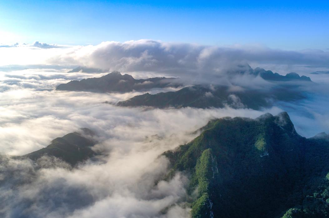 每年入秋,大雨过后2-3天的清晨,凤凰山会出现云海景观.