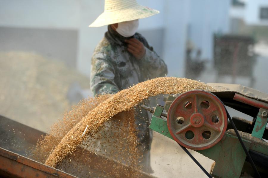 相比舌尖浪费粮食生产加工环节一年损失四川全省粮产量