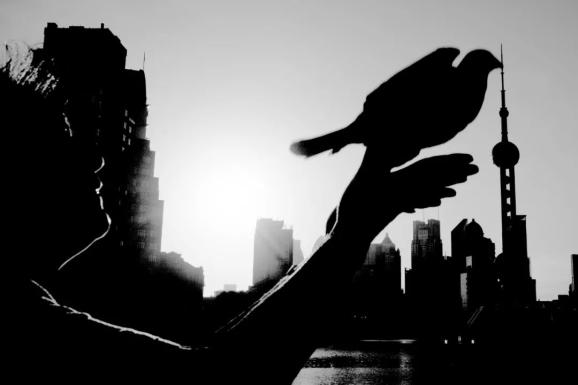 我爱上海(最新发布)