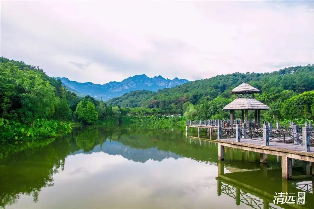 8月31日,清远市文化广电旅游体育局发布关于清城区美林湖景区等3家
