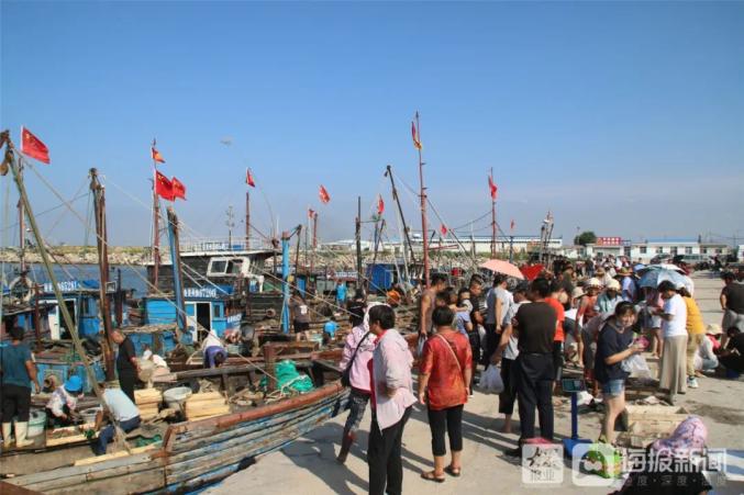 开海后,莱州的海庙港,三山岛港,朱旺港.这些地方要热闹起来了.