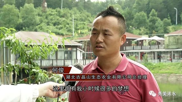 这片油茶林的投资人正是湖北古晶山生态农业有限公司总经理何俊