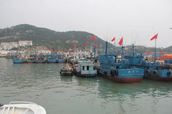 青岛开海第一鲜,坐标就在沙子口