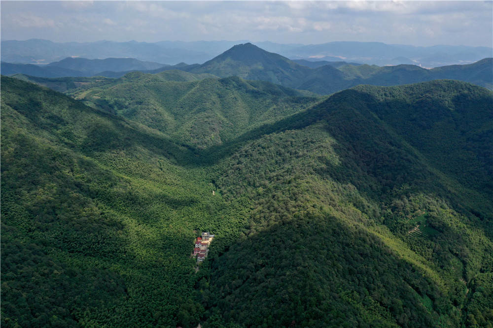 长兴周吴岕村:镶嵌在绿水青山间的美丽乡村