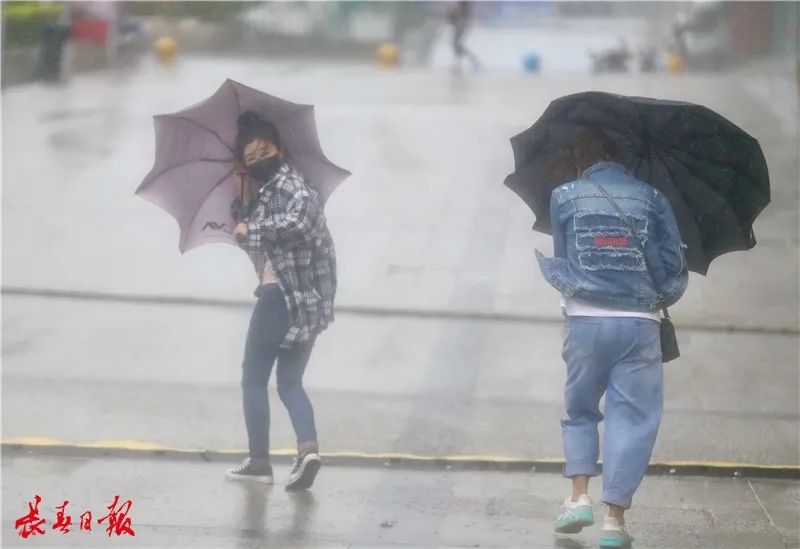 记者在红旗街,工农大路等路段看到 大风伴着大雨,过往行人艰难前行 在