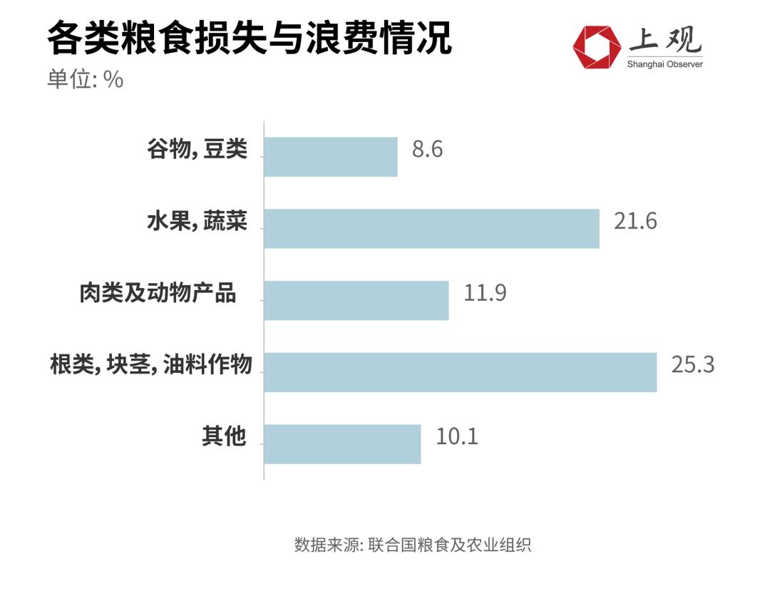 全球一年浪费13亿吨粮食，城市餐饮是重灾区