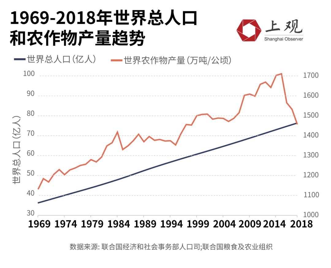 全球一年浪费13亿吨粮食，城市餐饮是重灾区