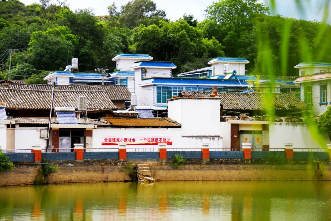 一潭碧水映蓝天柳叶低垂随风舞走进开远市小龙潭镇新邓耳村,村头的一