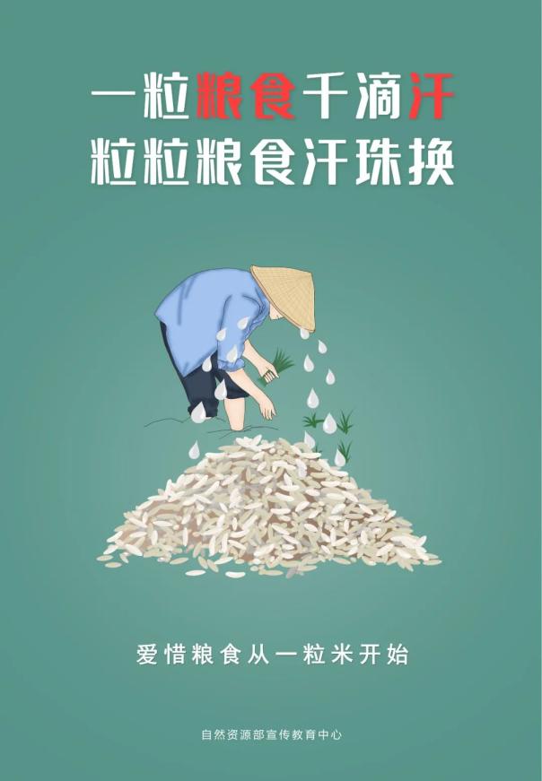 【网络文明】节约粮食保护耕地专题海报第二波来了!