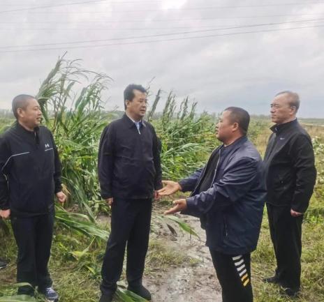 何忠华检查指导肇源县抗灾自救工作