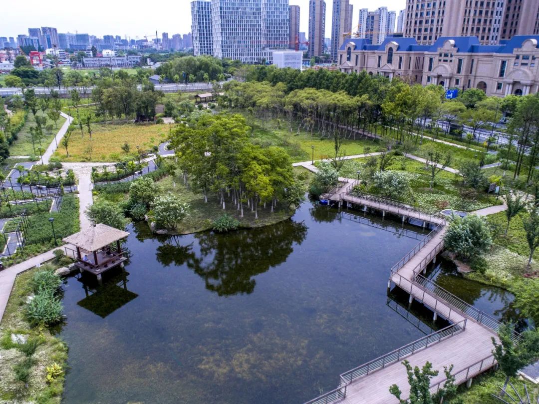 金沙湖公园,阳陂湖湿地公园,东湖路市民公园.杭州这些公园竟有这功能!