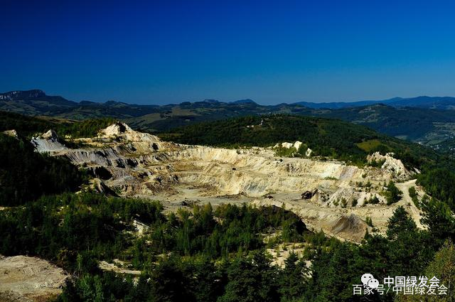 周晋峰博士坚持反对过度的人工造景,绿化,建议各种植被以自然恢复为主