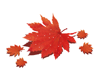 微文苑青稞熟了