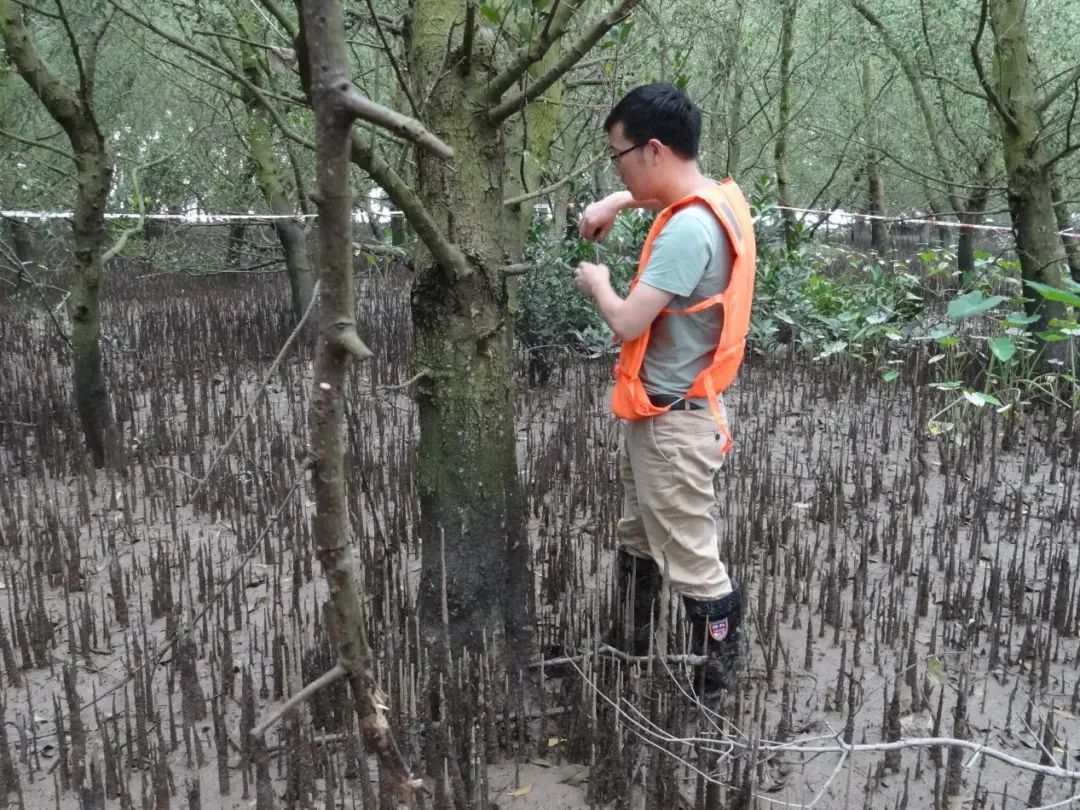 中山市电镀环评项目入选全国2020年环境影响评价工程师考试教材(最新发布)