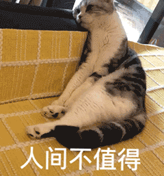 54岁山东大叔第五次考科目三终于合格,签字的手激动到