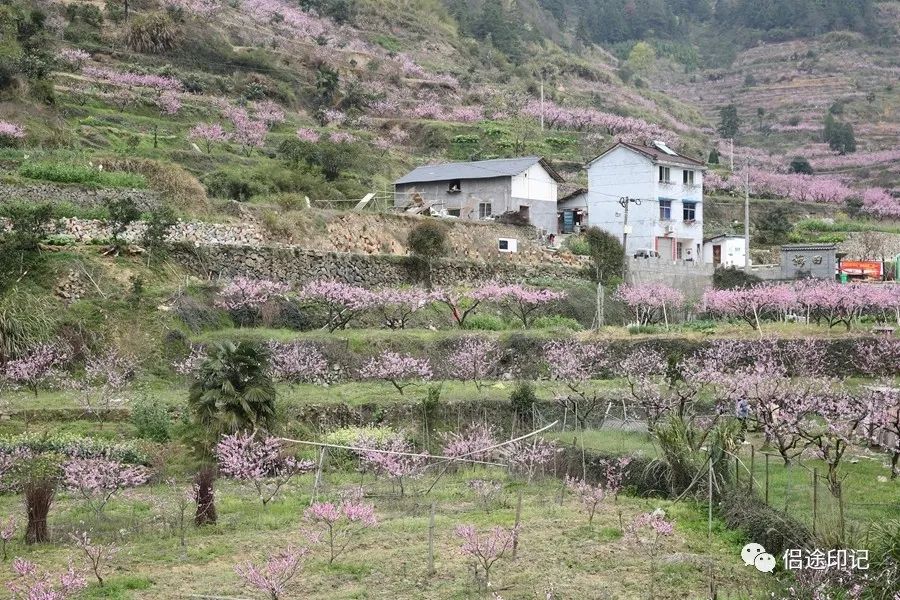 仙渡乡位于莲都区东北部,距城区27公里,北靠缙云县,西接雅溪镇,南连