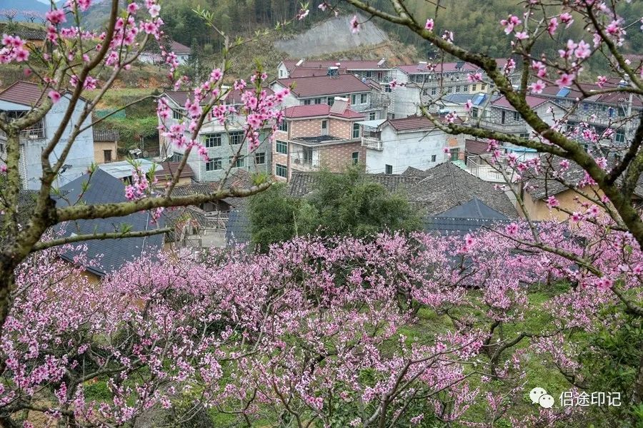 仙渡乡位于莲都区东北部,距城区27公里,北靠缙云县,西接雅溪镇,南连