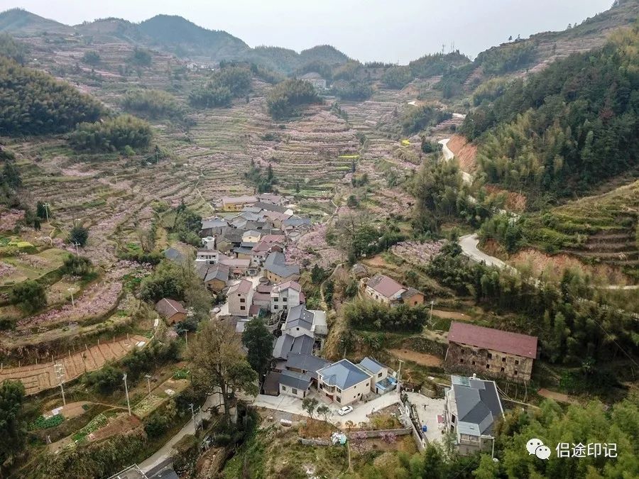 丽水乡村纪行仙渡梅田多彩桃乡田园牧歌