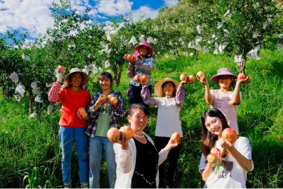 往上数三代，谁还不是农民？！