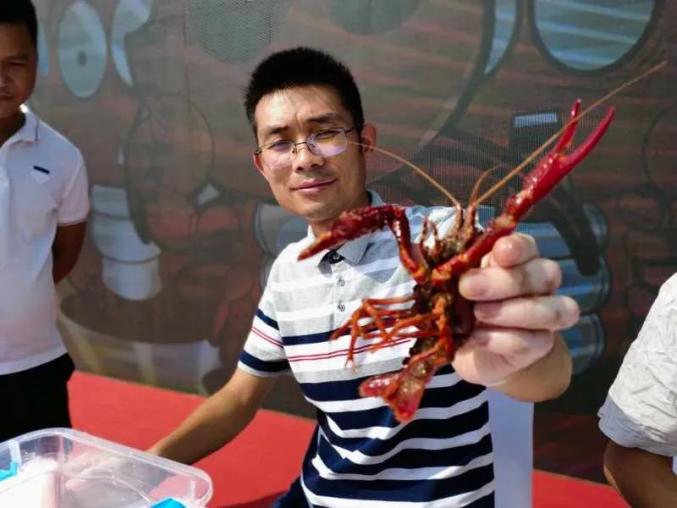 今天,2020中国·长丰第四届龙虾文化旅游节正式开幕!