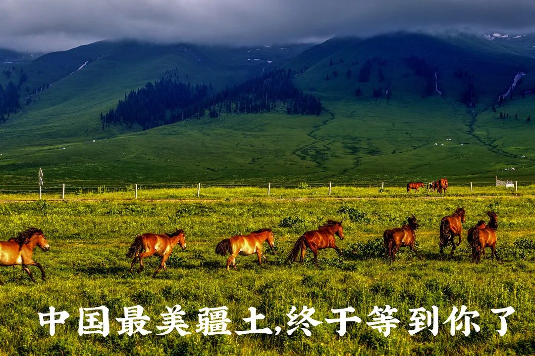 对不起，我真要去新疆了（最新发布）