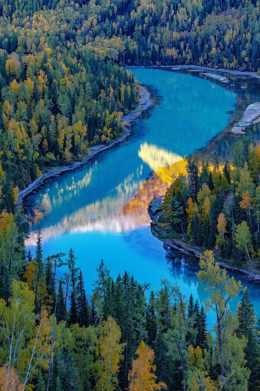 对不起，我真要去新疆了（最新发布）