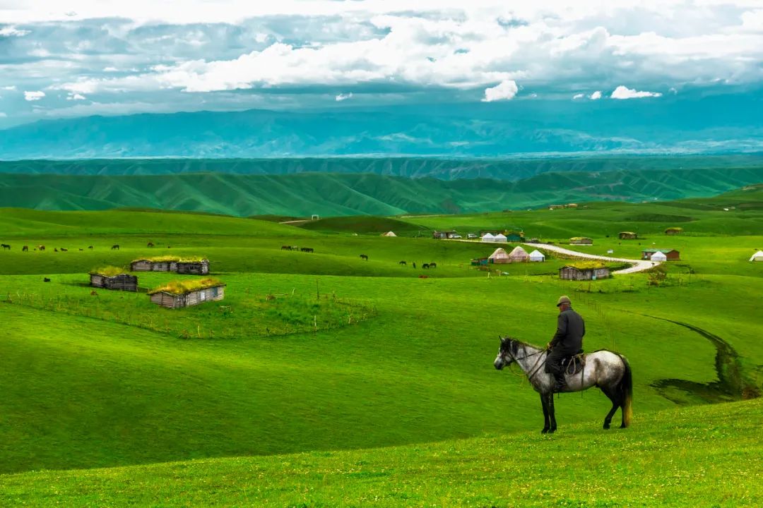 对不起，我真要去新疆了（最新发布）