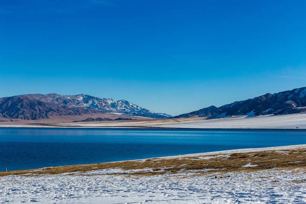 对不起，我真要去新疆了（最新发布）