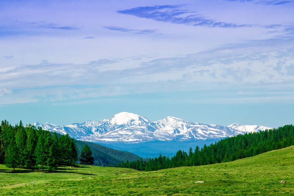 对不起，我真要去新疆了（最新发布）