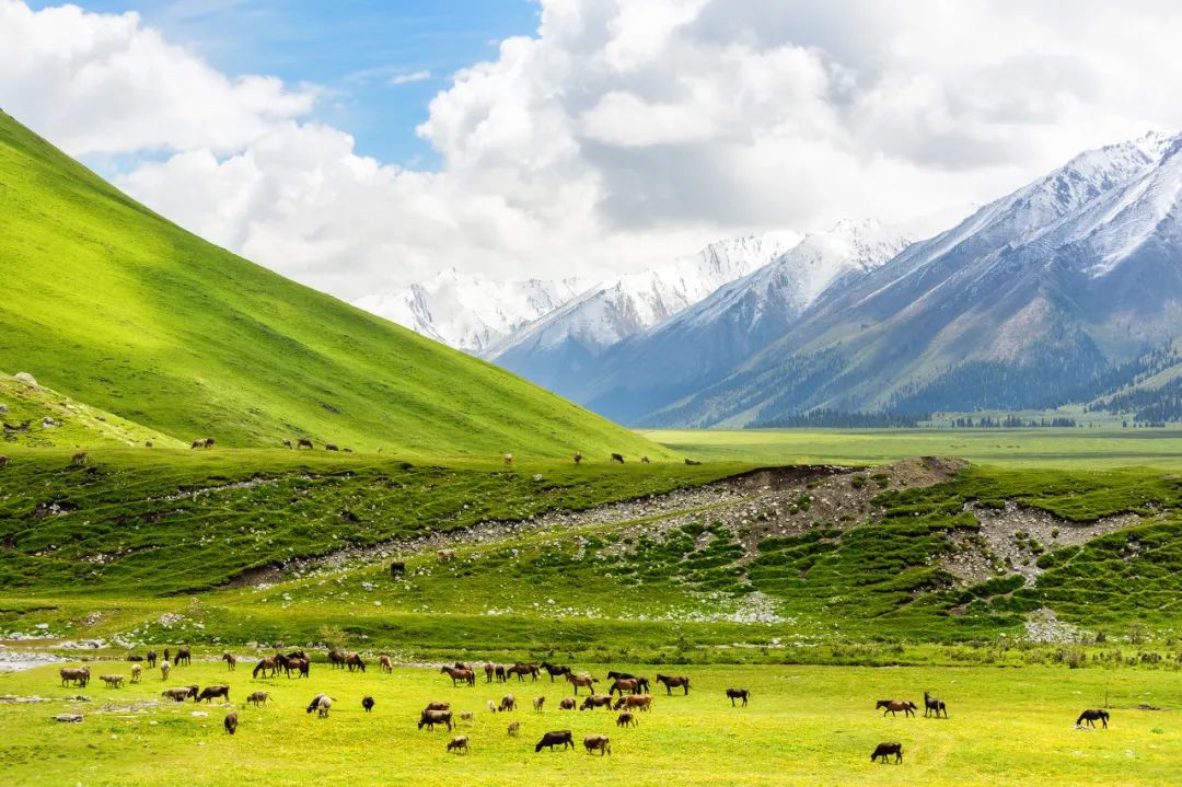 对不起，我真要去新疆了（最新发布）