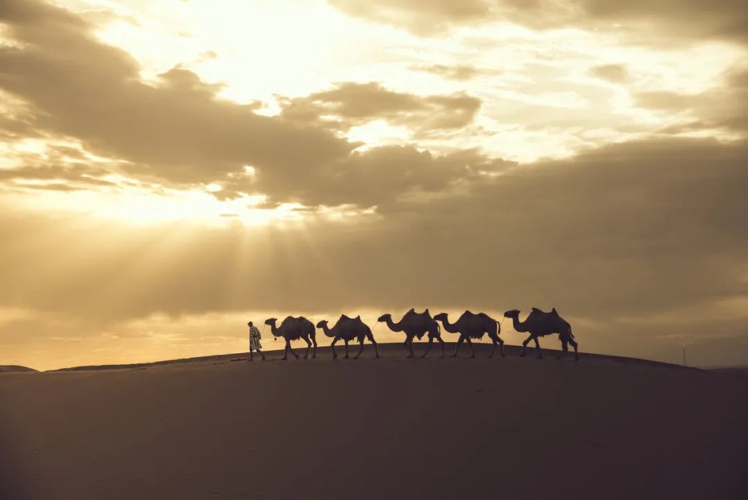 对不起，我真要去新疆了（最新发布）