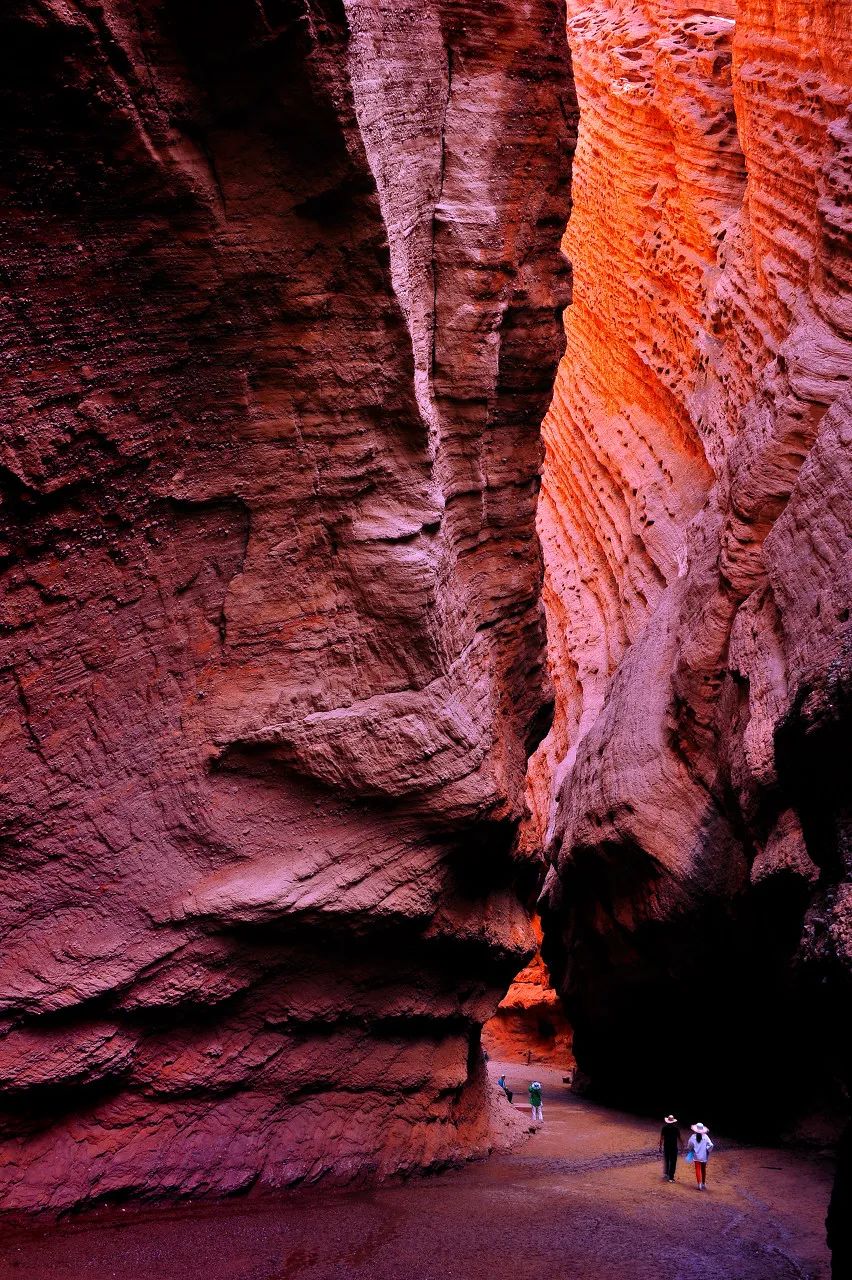 对不起，我真要去新疆了（最新发布）