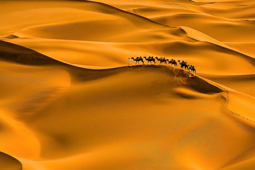 对不起，我真要去新疆了（最新发布）