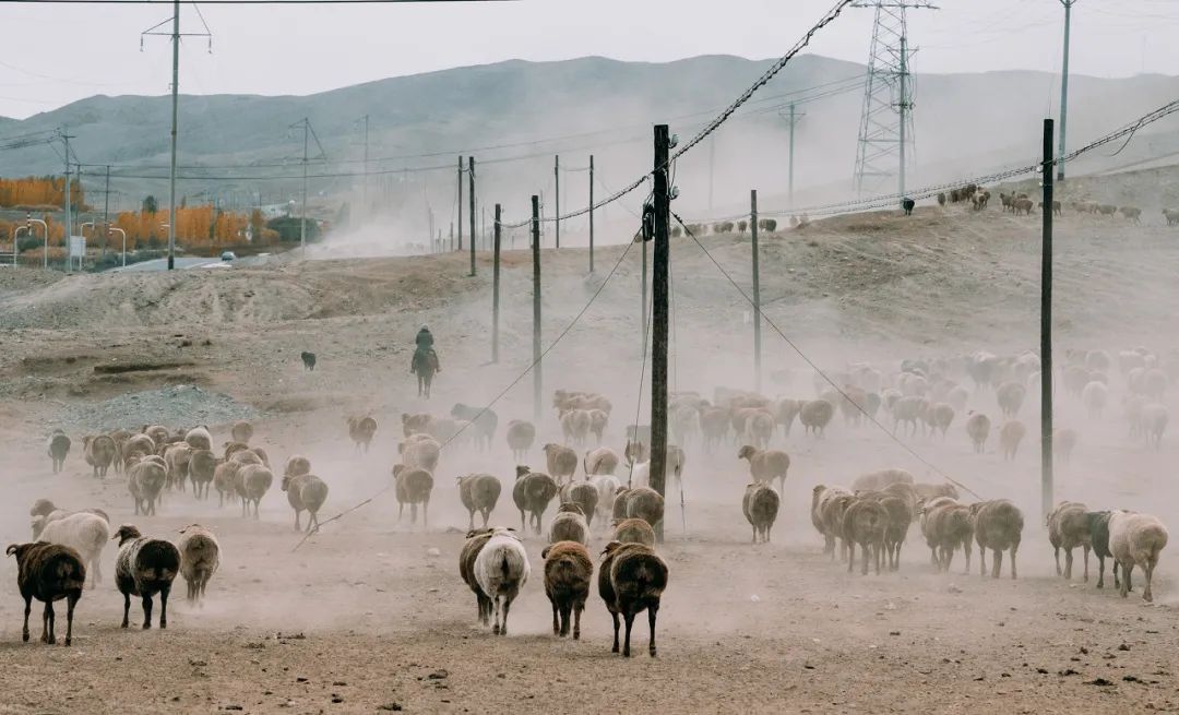 对不起，我真要去新疆了（最新发布）