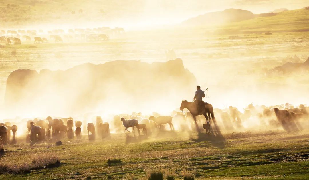 对不起，我真要去新疆了（最新发布）