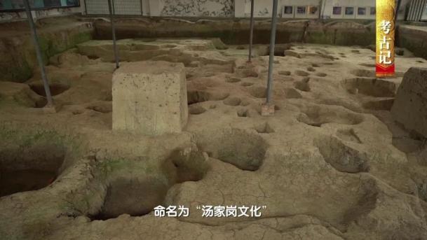 以发现最早,内涵最典型的汤家岗遗址将这一类遗存命名为"汤家岗文化"