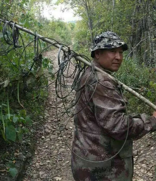 黑龙江最美护林员:扎根深山30载,为东北虎安全保驾护航