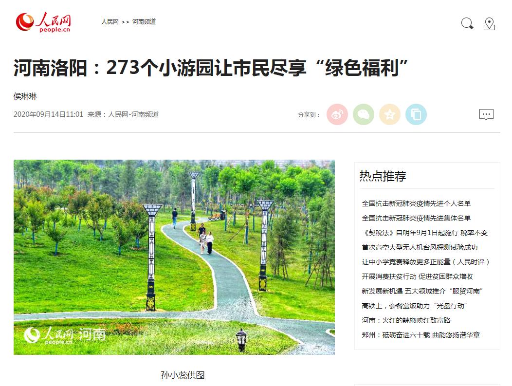 洛龙区网站定制制作 澎拜新闻